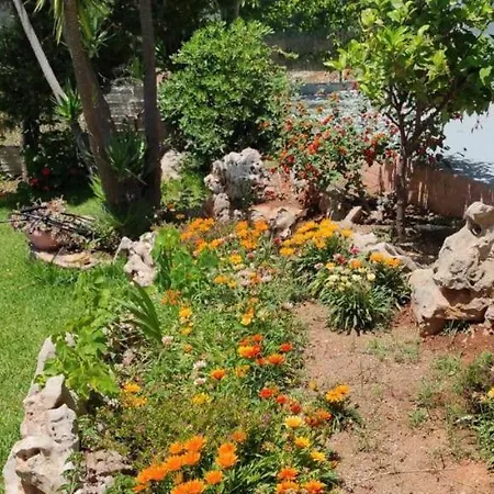 View-topia * ثيولوغوس