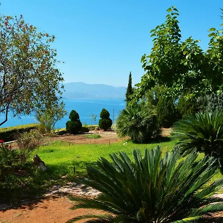 View-topia
